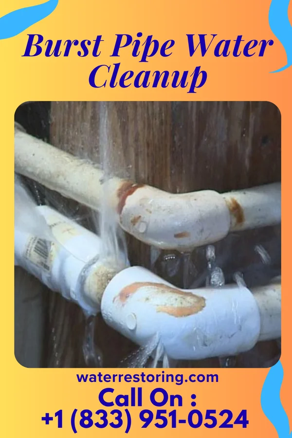 Burst Pipe Water Cleanup in Herrin, IL