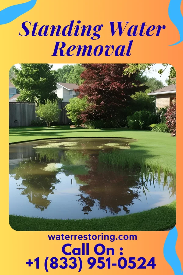 Standing Water Removal in Herrin, IL
